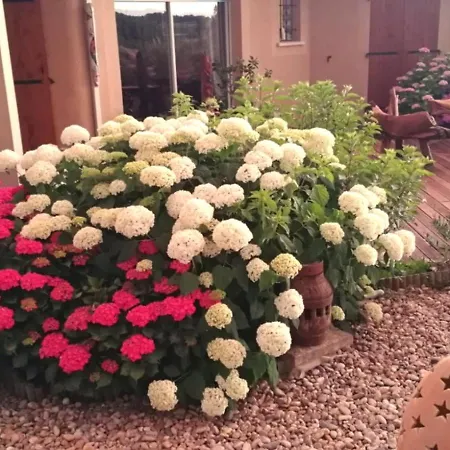 Les Ptits Bonheurs, Maison Proche De St-emilion Frontenac