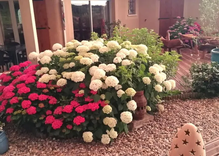 Les Ptits Bonheurs, Maison Proche De St-emilion Frontenac (Gironde)